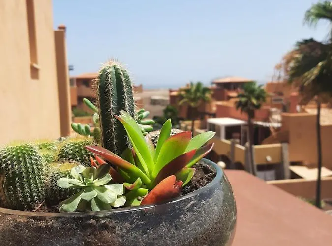 Apartamento Casa Adele Terraza Del Mar Corralejo